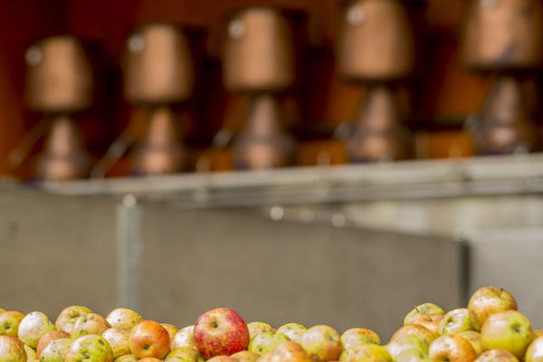 La Casería de San Juan del Obispo en Asturias